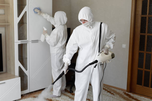 24/7 Emergency Odor Removal experts in Marion, IL